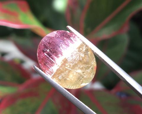 Bio-tourmaline จี้พลอย แหวนพลอย วันอังคาร อัญมณีสีทอง เสริมดวง พลอยทัวมาลีน 2 สี พลอยธรรมชาติ พลอยดิบ พลอยแท้ ราคาโรงงาน มีใบรับรอง