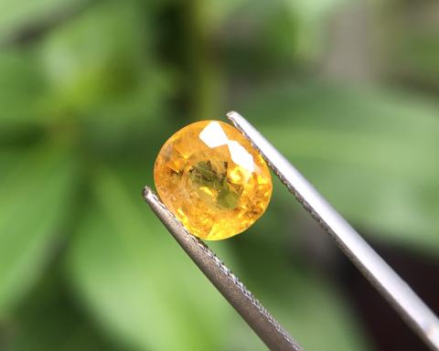 yellowsapphire พลอยบุษราคัมบางกะจะ พลอยจันทบุรี เสริมดวง ดูดวง แก้ชง แหวน พลอยแท้ราคาโรงงาน พลอยสีเหลือง บุษย์น้ำเพชร พลอยดิบ