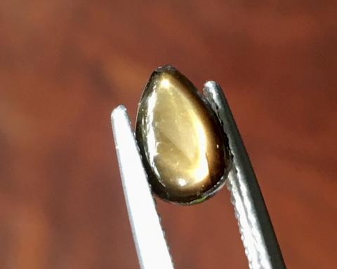 golden starsapphire Ring แหวน พลอยดิบ สตาร์บุษย์บางกะจะ ไพลิน จันทบุรี อัญมณี พลอยสตาร์ซัฟไฟร์ เสริมดวง แก้ชง พลอยเสริมดวง จี้พลอย ขายปลีกส่งพลอย รับทำเครื่องประดับ พลอยราคาโรงงาน