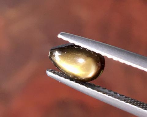 golden starsapphire Ring แหวน พลอยดิบ สตาร์บุษย์บางกะจะ ไพลิน จันทบุรี อัญมณี พลอยสตาร์ซัฟไฟร์ เสริมดวง แก้ชง พลอยเสริมดวง จี้พลอย ขายปลีกส่งพลอย รับทำเครื่องประดับ พลอยราคาโรงงาน