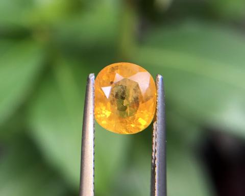 yellowsapphire พลอยบุษราคัมบางกะจะ พลอยจันทบุรี เสริมดวง ดูดวง แก้ชง แหวน พลอยแท้ราคาโรงงาน พลอยสีเหลือง บุษย์น้ำเพชร พลอยดิบ