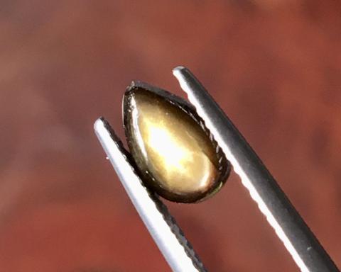 golden starsapphire Ring แหวน พลอยดิบ สตาร์บุษย์บางกะจะ ไพลิน จันทบุรี อัญมณี พลอยสตาร์ซัฟไฟร์ เสริมดวง แก้ชง พลอยเสริมดวง จี้พลอย ขายปลีกส่งพลอย รับทำเครื่องประดับ พลอยราคาโรงงาน