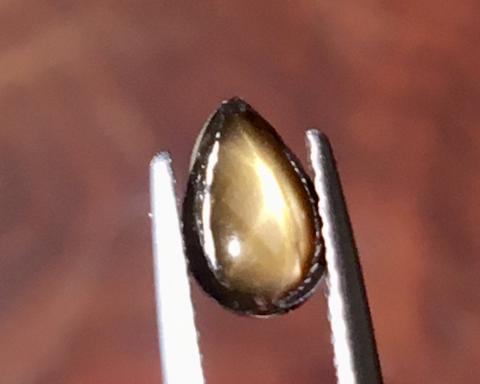 golden starsapphire Ring แหวน พลอยดิบ สตาร์บุษย์บางกะจะ ไพลิน จันทบุรี อัญมณี พลอยสตาร์ซัฟไฟร์ เสริมดวง แก้ชง พลอยเสริมดวง จี้พลอย ขายปลีกส่งพลอย รับทำเครื่องประดับ พลอยราคาโรงงาน