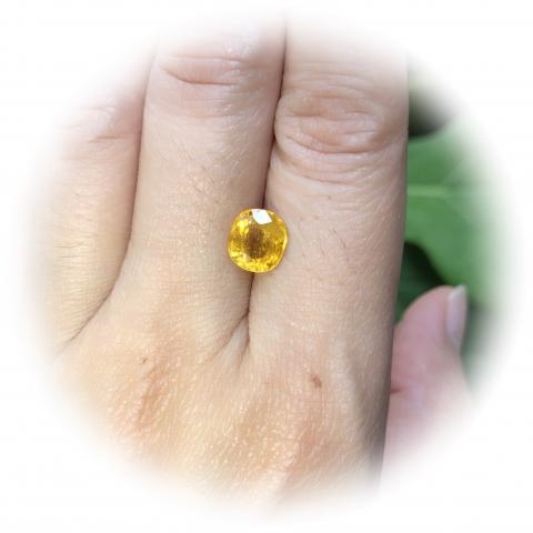 yellowsapphire พลอยบุษราคัมบางกะจะ พลอยจันทบุรี เสริมดวง ดูดวง แก้ชง แหวน พลอยแท้ราคาโรงงาน พลอยสีเหลือง บุษย์น้ำเพชร พลอยดิบ