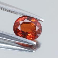g1-412-45 Garnet พลอยโกเมน