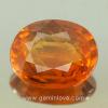 yellow sapphire พลอยบุษราคัม g1-725-2