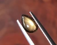 golden starsapphire Ring แหวน พลอยดิบ สตาร์บุษย์บางกะจะ ไพลิน จันทบุรี อัญมณี พลอยสตาร์ซัฟไฟร์ เสริมดวง แก้ชง พลอยเสริมดวง จี้พลอย ขายปลีกส่งพลอย รับทำเครื่องประดับ พลอยราคาโรงงาน