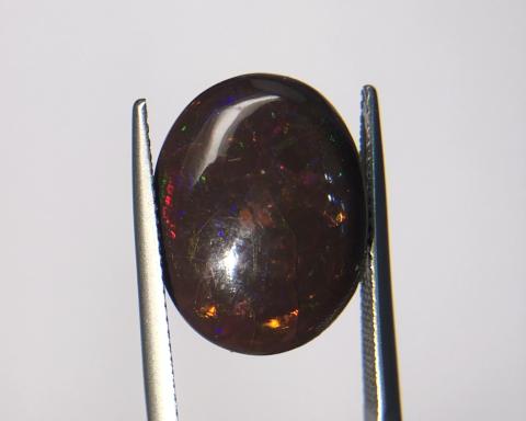 Brown opal  โอปอลไฟร์ โอปอลสีน้ำตาล โอปอลแท้ โอปอลหัวแหวน โอปอเหลือง โอปอลแดง geminlove หินโอปอลนำโชค 