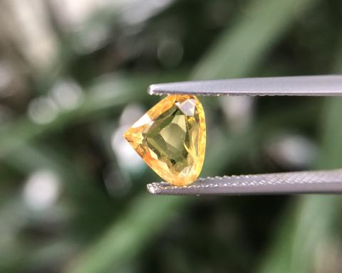 yellow sapphire พลอยบุษราคัมบางกะจะ พลอยจันทบุรี เสริมดวง ดูดวง แก้ชง แหวน geminlove  พลอยแท้ราคาโรงงาน พลอยสีเหลือง บุษย์น้ำเพชร พลอยดิบ