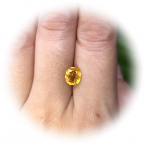 yellowsapphire พลอยบุษราคัมบางกะจะ พลอยจันทบุรี เสริมดวง ดูดวง แก้ชง แหวน พลอยแท้ราคาโรงงาน พลอยสีเหลือง บุษย์น้ำเพชร พลอยดิบ