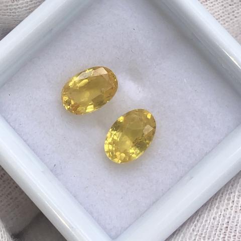 yellow sapphire พลอยทำต่างหู บุษราคัมน้ำเพชร บุษย์บางกะจะ พลอยจันทบุรี พลอยแท้มีใบเซอร์  เสริมดวง ดูดวง แก้ชง แหวน พลอยแท้ บุษย์น้ำเพชร พลอยดิบ geminlove