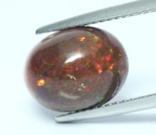 g1-691-3 brown opal