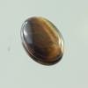 g1-646-1 tiger's eye พลอยตาเสือ